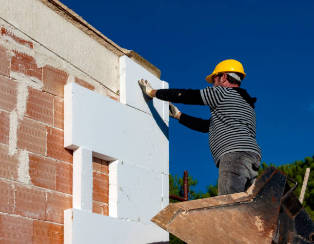 Best Local Insulation Services  in Bayard, NE