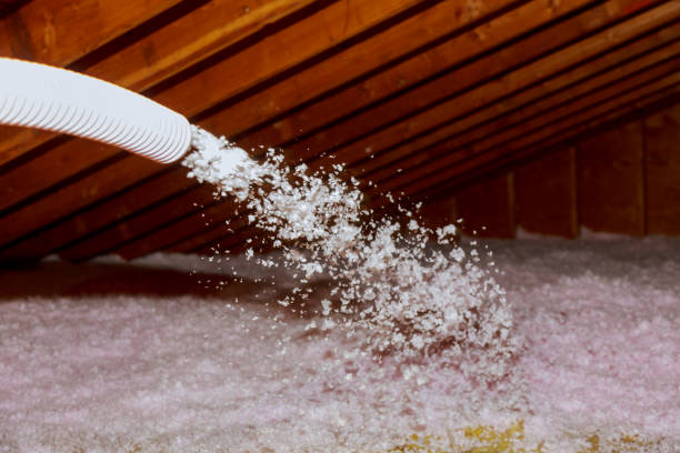 Best Crawl Space Insulation  in Bayard, NE