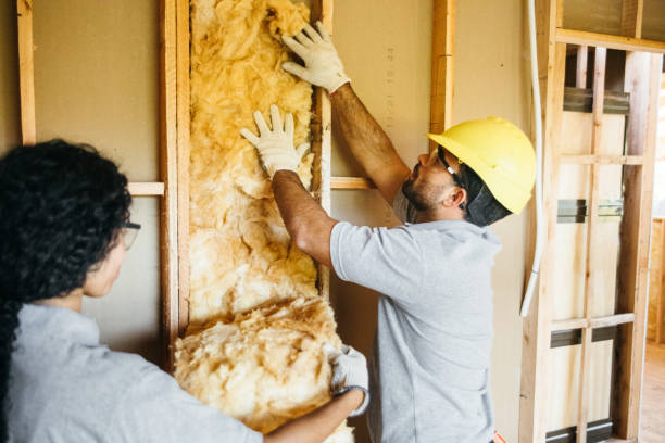 Best Insulation Removal  in Bayard, NE