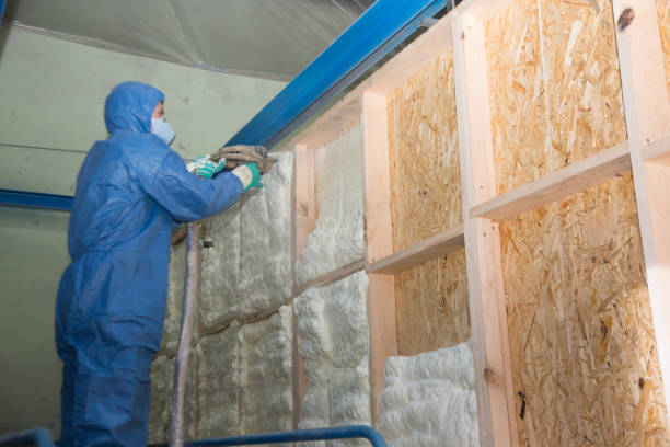 Best Insulation for New Construction  in Bayard, NE
