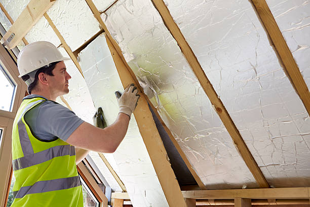 Best Attic Insulation Installation  in Bayard, NE