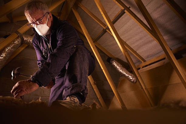 Best Insulation Contractor Near Me  in Bayard, NE